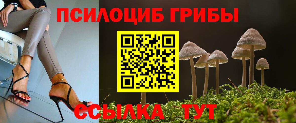 Галлюциногенные грибы Psilocybe  Вход с VPN  Сальск 