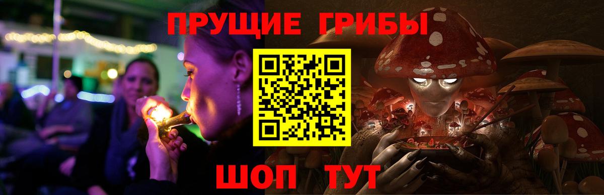 Псилоцибиновые грибы мицелий Сальск